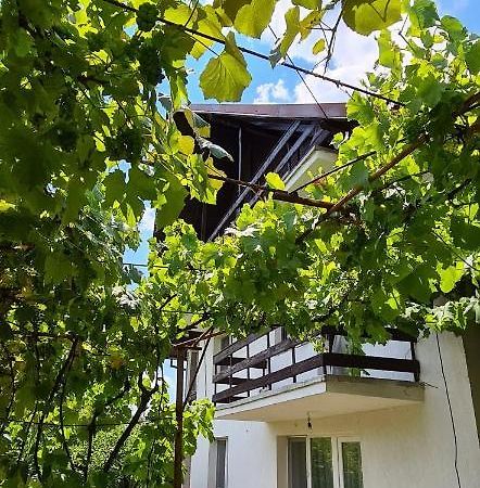Cazare Vila Maria Apartment Curtea De Arges Bagian luar foto