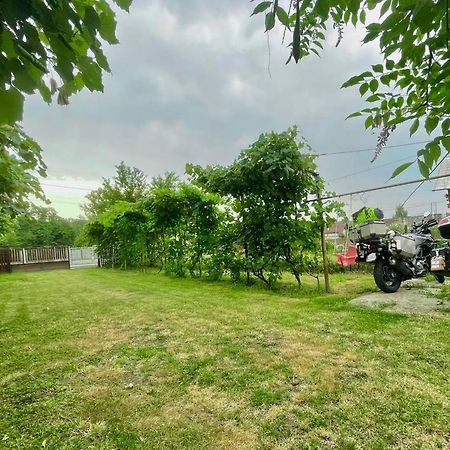 Cazare Vila Maria Apartment Curtea De Arges Bagian luar foto