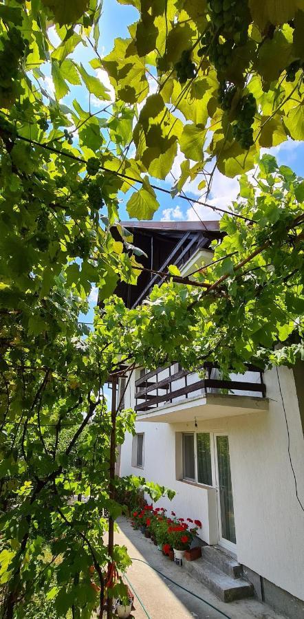Cazare Vila Maria Apartment Curtea De Arges Bagian luar foto