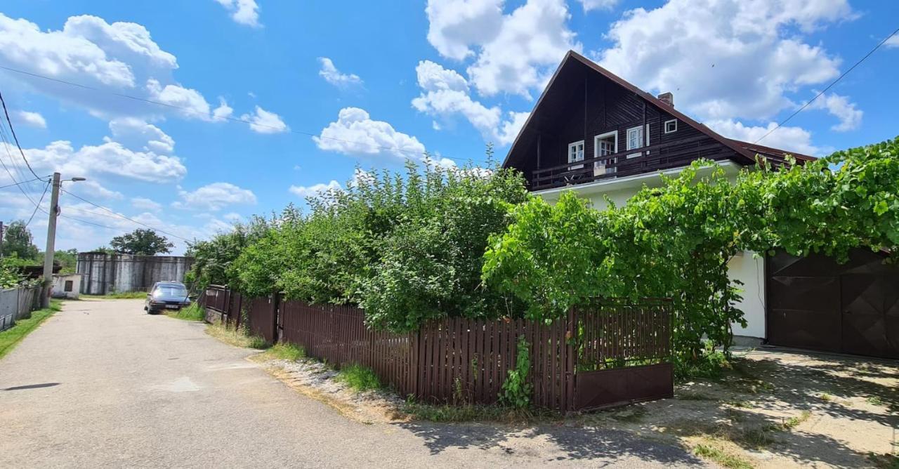 Cazare Vila Maria Apartment Curtea De Arges Bagian luar foto