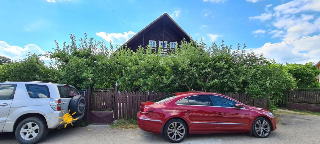 Cazare Vila Maria Apartment Curtea De Arges Bagian luar foto