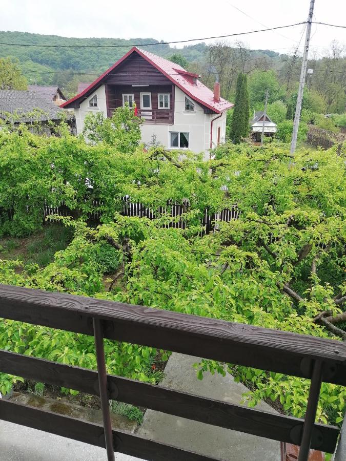 Cazare Vila Maria Apartment Curtea De Arges Bagian luar foto