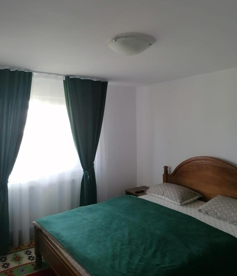 Cazare Vila Maria Apartment Curtea De Arges Bagian luar foto