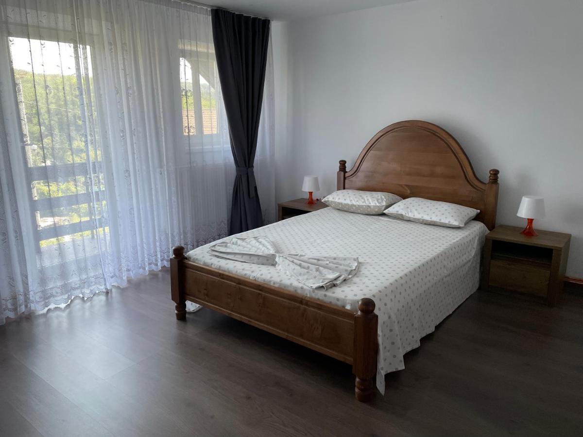 Cazare Vila Maria Apartment Curtea De Arges Bagian luar foto
