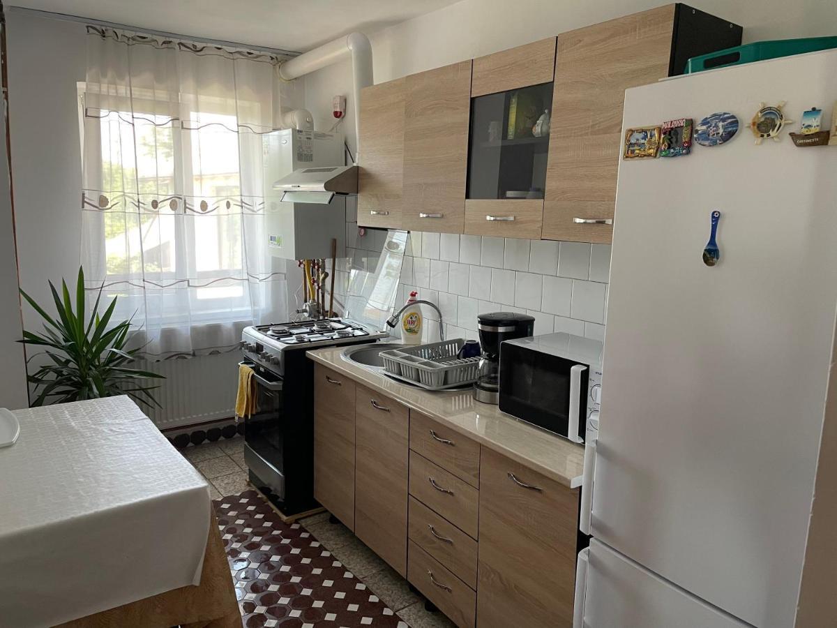 Cazare Vila Maria Apartment Curtea De Arges Bagian luar foto