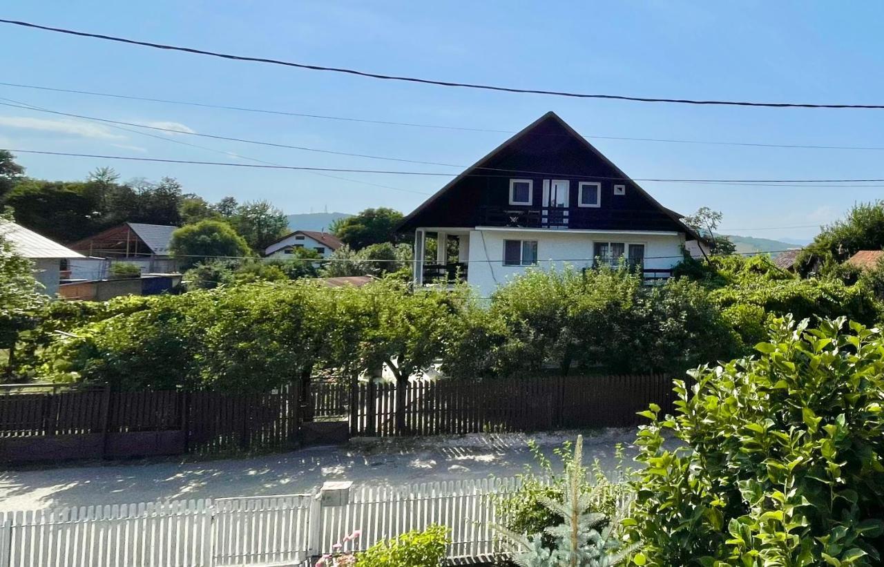 Cazare Vila Maria Apartment Curtea De Arges Bagian luar foto